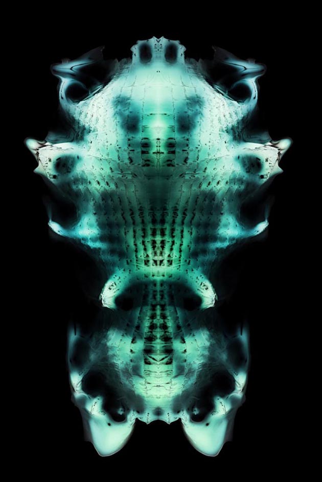 Physical Torso, Jorge Ayala, Cabinet of Post digital Curiosities, 2013.